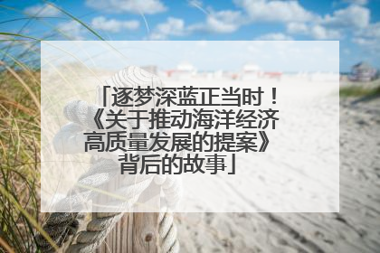 逐梦深蓝正当时！《关于推动海洋经济高质量发展的提案》背后的故事