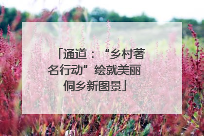 通道：“乡村著名行动”绘就美丽侗乡新图景