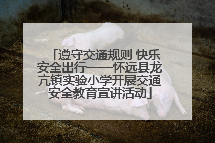 遵守交通规则 快乐安全出行——怀远县龙亢镇实验小学开展交通安全教育宣讲活动