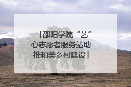 邵阳学院“艺”心志愿者服务站助推和美乡村建设
