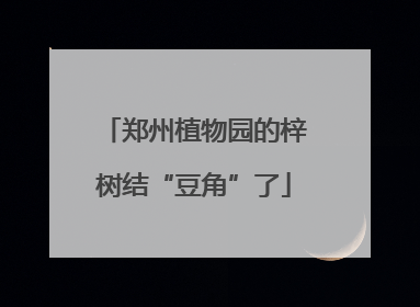 郑州植物园的梓树结“豆角”了
