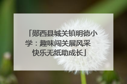 郧西县城关镇明德小学：趣味闯关展风采 快乐无纸助成长