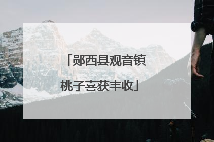 郧西县观音镇桃子喜获丰收