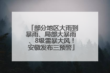 部分地区大雨到暴雨、局部大暴雨、8级雷暴大风！安徽发布三预警