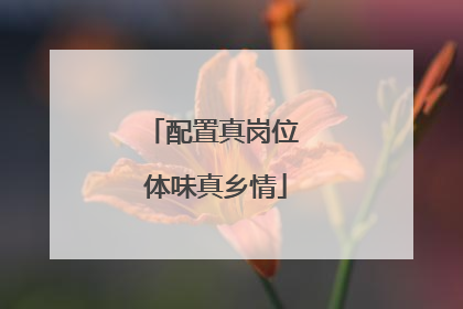 配置真岗位 体味真乡情