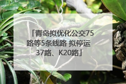 青岛拟优化公交75路等5条线路 拟停运37路、K20路