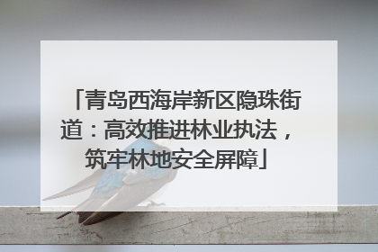 青岛西海岸新区隐珠街道：高效推进林业执法，筑牢林地安全屏障