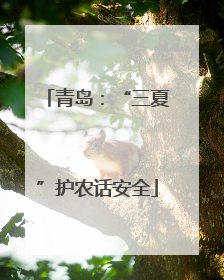 青岛：“三夏”护农话安全