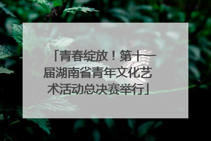 青春绽放！第十一届湖南省青年文化艺术活动总决赛举行