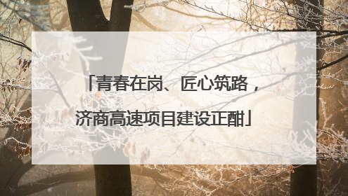 青春在岗、匠心筑路，济商高速项目建设正酣