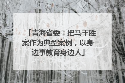 青海省委：把马丰胜案作为典型案例，以身边事教育身边人