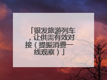 银发旅游列车，让供需有效对接（提振消费一线观察）