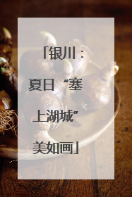 银川：夏日“塞上湖城”美如画
