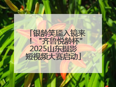 银龄笑靥入镜来！“齐鲁悦龄杯”2025山东摄影短视频大赛启动