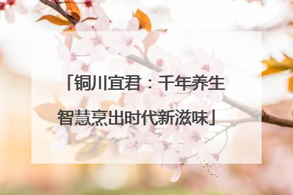 铜川宜君：千年养生智慧烹出时代新滋味
