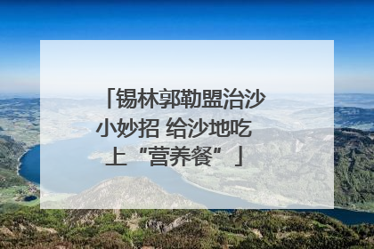 锡林郭勒盟治沙小妙招 给沙地吃上“营养餐”