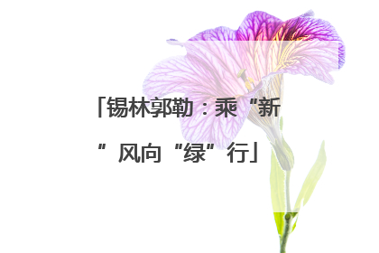 锡林郭勒：乘“新”风向“绿”行