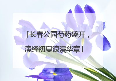 长春公园芍药盛开，演绎初夏浪漫华章