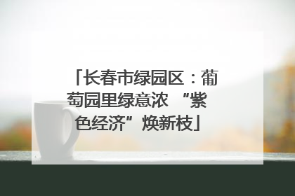 长春市绿园区：葡萄园里绿意浓 “紫色经济”焕新枝