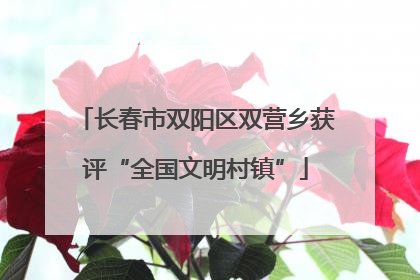 长春市双阳区双营乡获评“全国文明村镇”