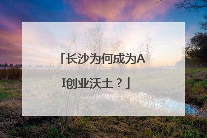 长沙为何成为AI创业沃土？