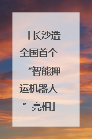 长沙造全国首个“智能押运机器人”亮相
