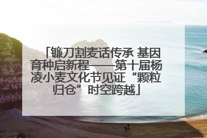 镰刀割麦话传承 基因育种启新程——第十届杨凌小麦文化节见证“颗粒归仓”时空跨越