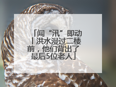 闻“汛”即动丨洪水漫过二楼前，他们背出了最后5位老人