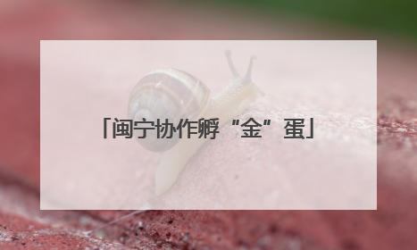 闽宁协作孵“金”蛋