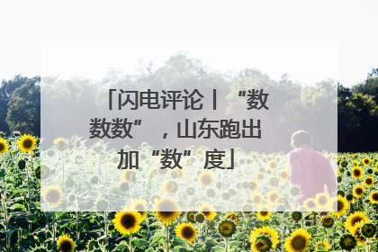 闪电评论丨“数数数”，山东跑出加“数”度