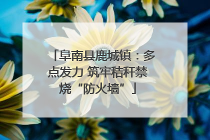 阜南县鹿城镇：多点发力 筑牢秸秆禁烧“防火墙”