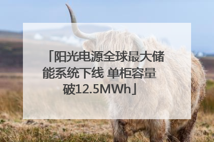 阳光电源全球最大储能系统下线 单柜容量破12.5MWh