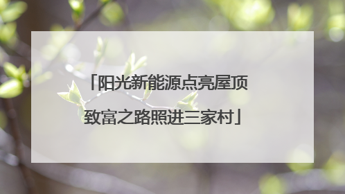 阳光新能源点亮屋顶 致富之路照进三家村