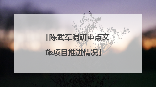 陈武军调研重点文旅项目推进情况