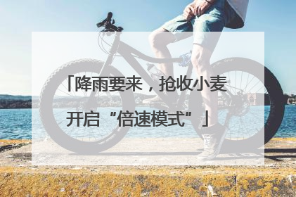 降雨要来，抢收小麦开启“倍速模式”