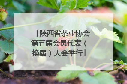 陕西省茶业协会第五届会员代表（换届）大会举行