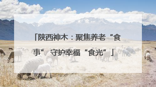 陕西神木：聚焦养老“食事” 守护幸福“食光”