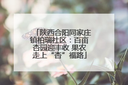 陕西合阳同家庄镇柏瑞社区：百亩杏园迎丰收 果农走上“杏”福路