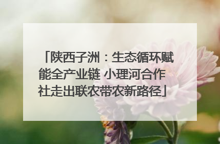 陕西子洲：生态循环赋能全产业链 小理河合作社走出联农带农新路径
