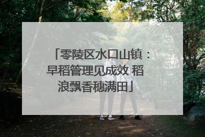 零陵区水口山镇：早稻管理见成效 稻浪飘香穗满田