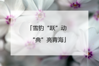 雪豹“跃”动 “典”亮青海