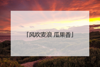 风吹麦浪 瓜果香