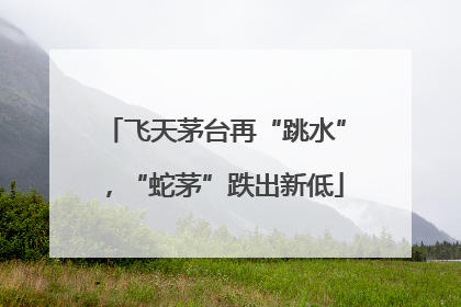 飞天茅台再“跳水”，“蛇茅”跌出新低
