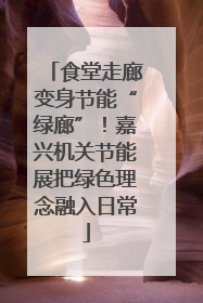 食堂走廊变身节能“绿廊”！嘉兴机关节能展把绿色理念融入日常