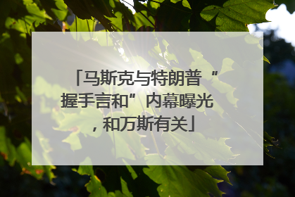 马斯克与特朗普“握手言和”内幕曝光，和万斯有关