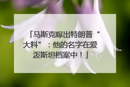 马斯克曝出特朗普“大料”：他的名字在爱泼斯坦档案中！