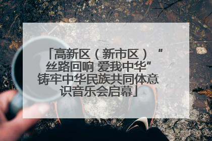 高新区（新市区）“丝路回响 爱我中华”铸牢中华民族共同体意识音乐会启幕