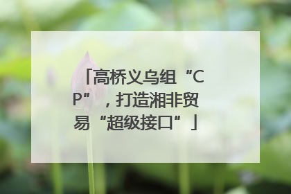 高桥义乌组“CP”，打造湘非贸易“超级接口”