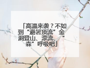 高温来袭？不如到“避暑顶流”金洞登山、漂流、“森”呼吸吧