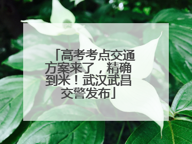 高考考点交通方案来了，精确到米！武汉武昌交警发布